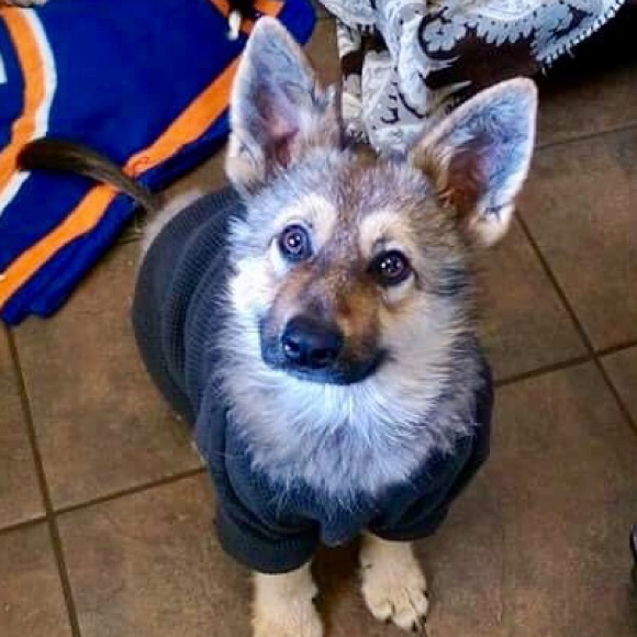 Meet your Posher, Lori. Posh Ambassador April 2019 - Picture 5 of 8